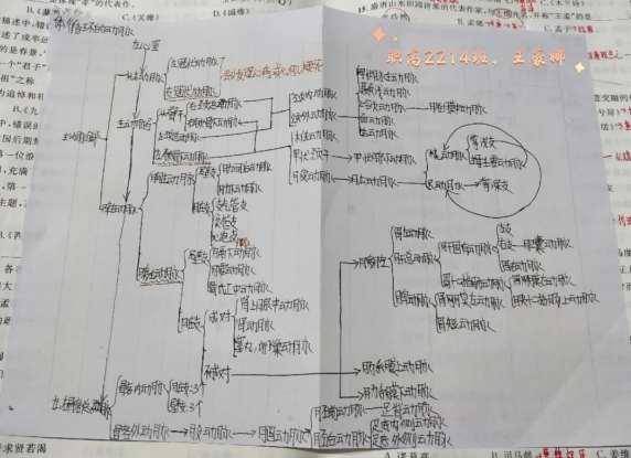 學(xué)生作業(yè)的創(chuàng)意寶藏 | 規(guī)范書寫展風(fēng)采 墨香四溢潤校園